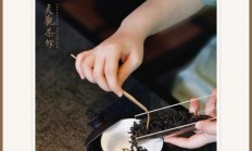 从品茶小白到资深茶客：南宁品茶心路历程全揭秘，为你推荐靠谱去处